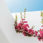 מלון Bohemian Luxury Boutique Hotel, Adults Only