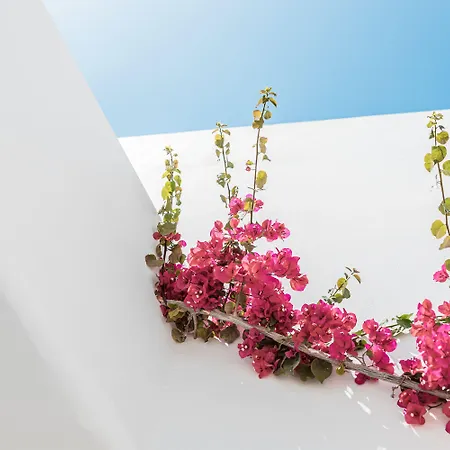 Bohemian Luxury Boutique Hotel, Adults Only 4* Náoussa