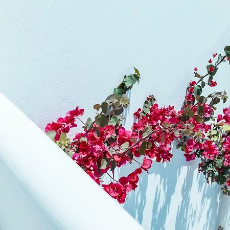 Bohemian Luxury Boutique Hotel, Adults Only Hotel Náoussa