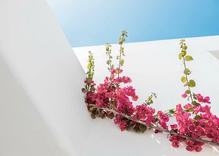 Hotel Bohemian Luxury Boutique Hotel, Adults Only